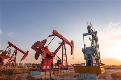 Minyak Bumi dan Petrokimia